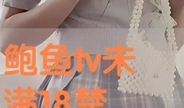 18禁止在线观看,网络观看的界限与挑战